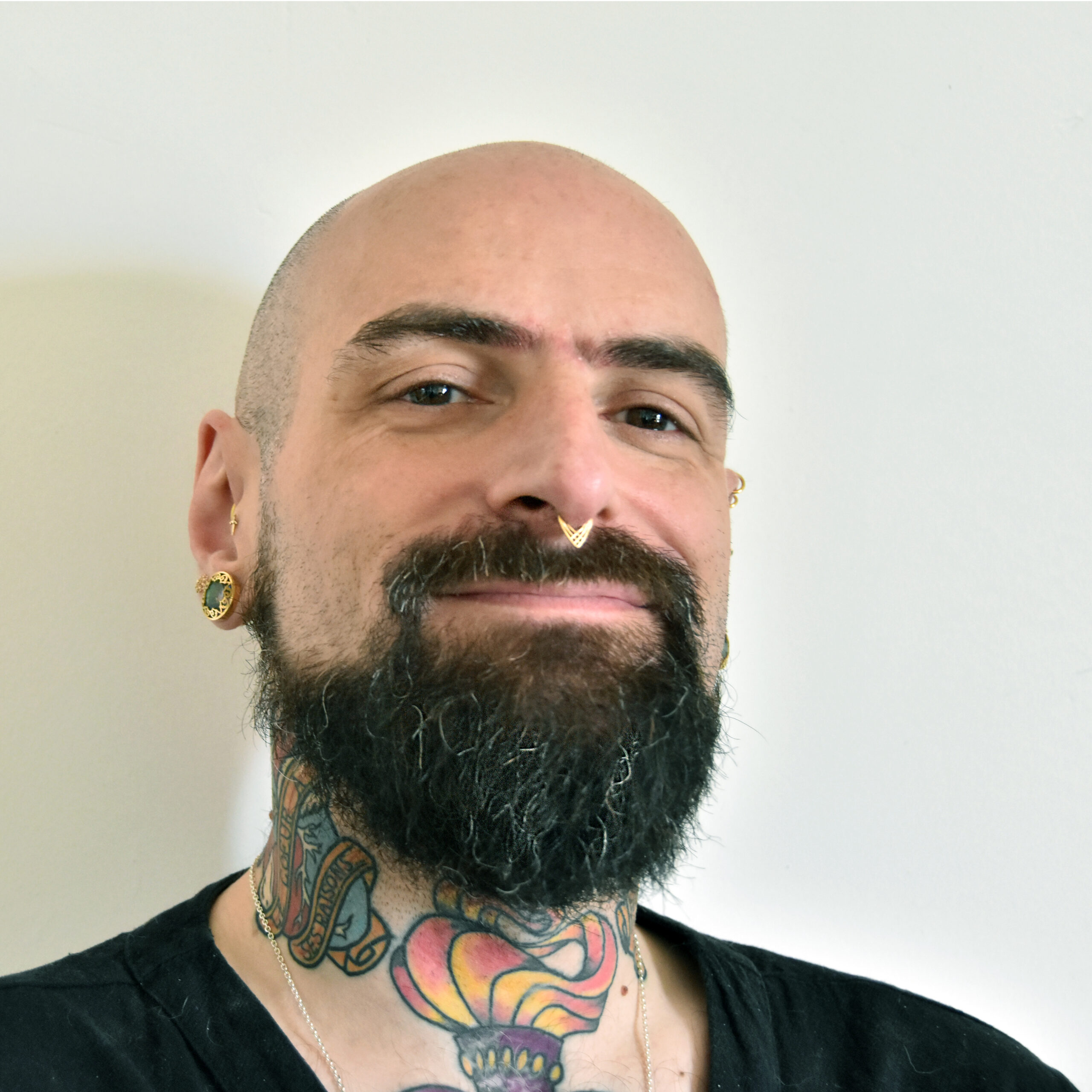 Perceur Professionnel Monfort l'Amaury Yvelines 78