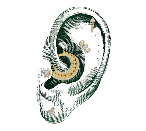 Composition Ear Curation Piercing Monfort l'Amaury Yvelines 78