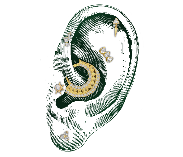 Composition Ear Curation Piercing Monfort l'Amaury Yvelines 78