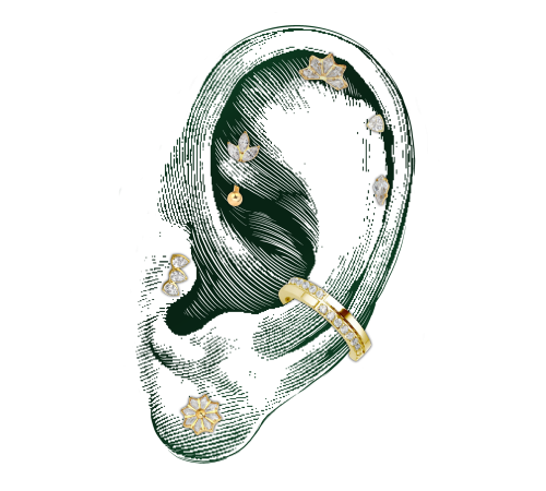 Composition Ear Curation Piercing Monfort l'Amaury Yvelines 78