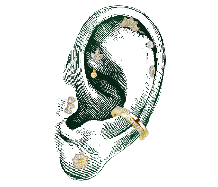 Composition Ear Curation Piercing Monfort l'Amaury Yvelines 78