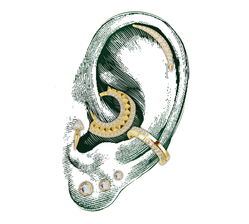 Composition Ear Curation Piercing Monfort l'Amaury Yvelines 78