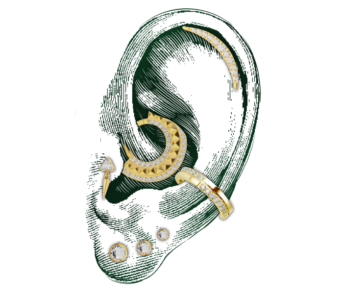 Composition Ear Curation Piercing Monfort l'Amaury Yvelines 78