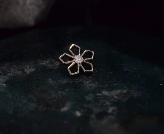 Bijoux Piercing Titane Premium Yvelines 78 Monfort l'Amaury