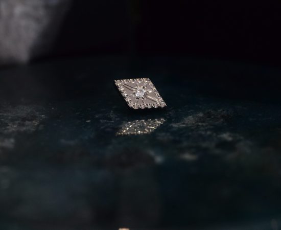 Bijoux Piercing Titane Premium Yvelines 78 Monfort-l'Amaury Plaisir