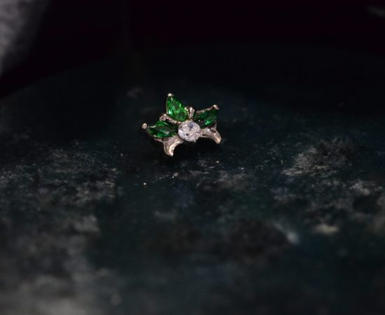 Bijoux Piercing Titane Qualité Premium Yvelines 78 Monfort-l'Amaury